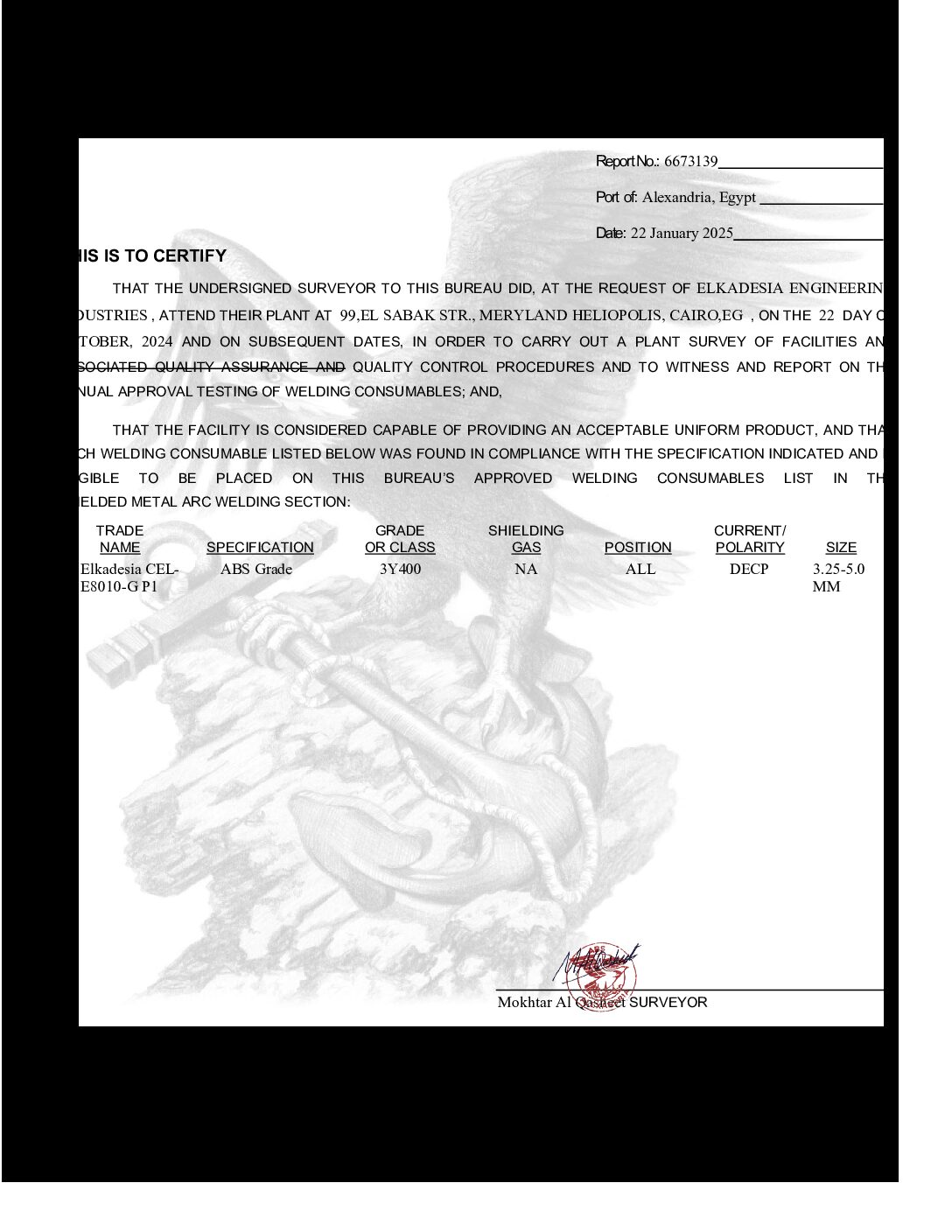 8010-ABS-2025-pdf