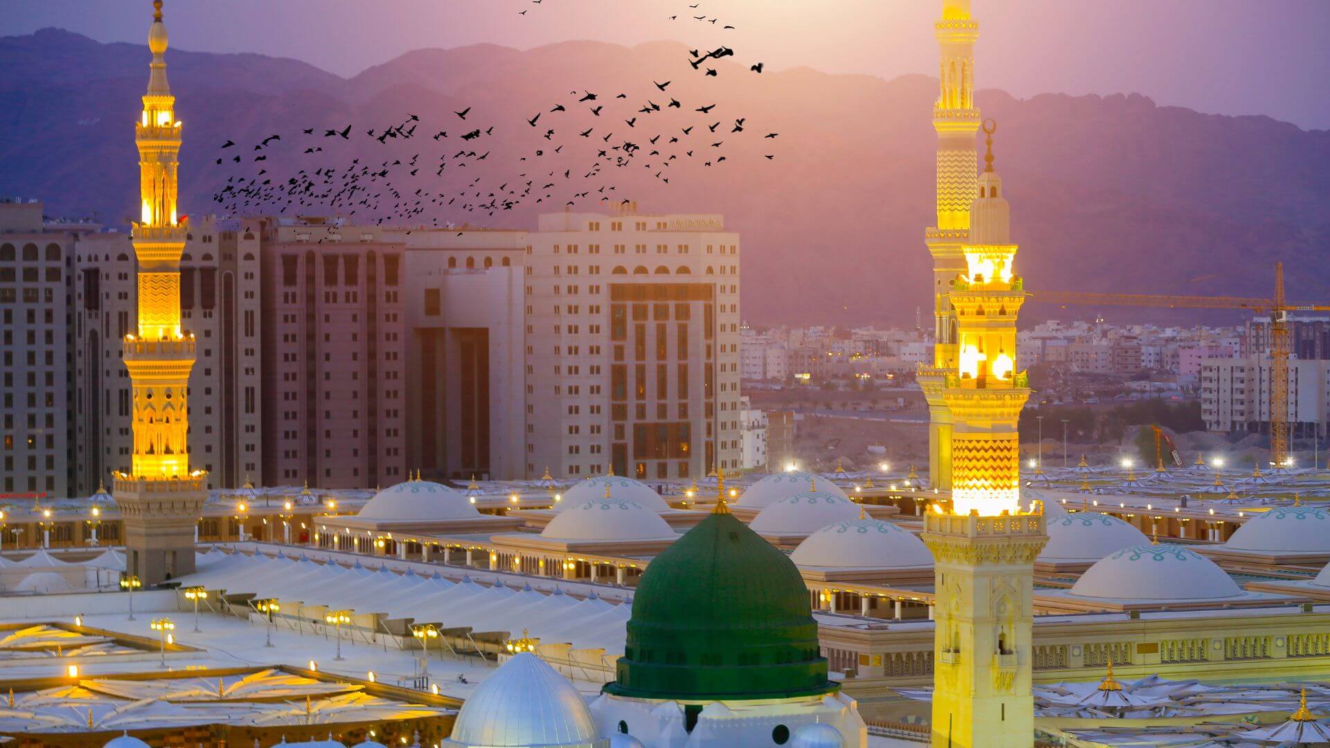 فندق هيلتون المدينة