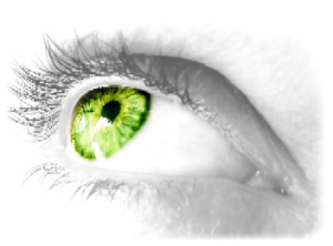 vision