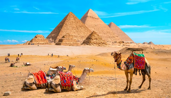 مصر